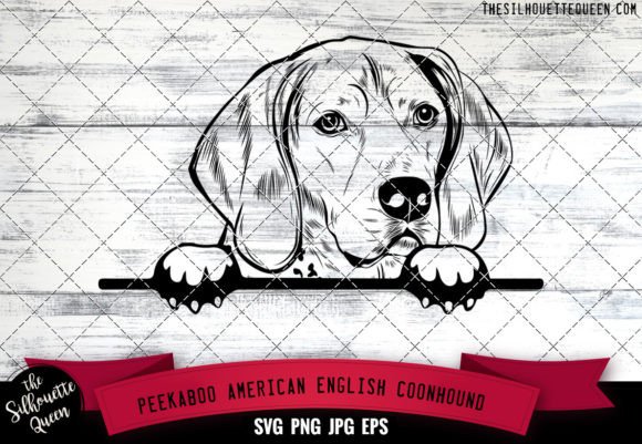 American English Coonhound Peekaboo Dog