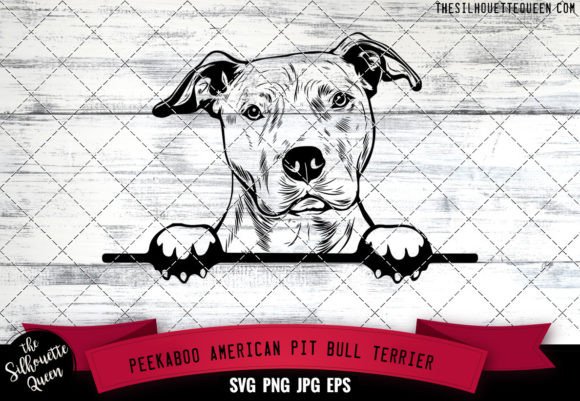 American Pit Bull Terrier Peekaboo Dog F