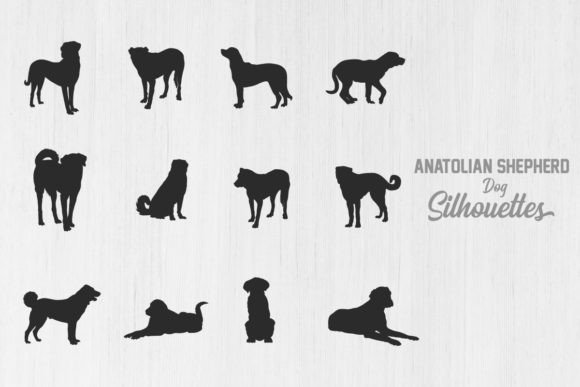 Anatolian Shepherd Dog Silhouettes