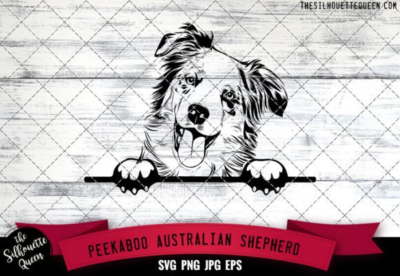 Australian Shepherd Peekaboo Dog Face