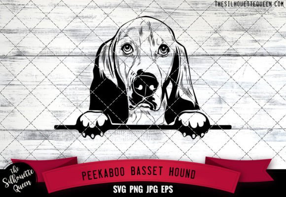 Basset Hound Peekaboo Dog Face