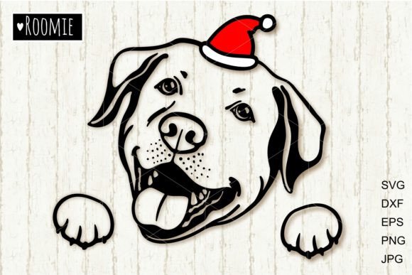 Christmas Labrador Retriever, Santa Dog