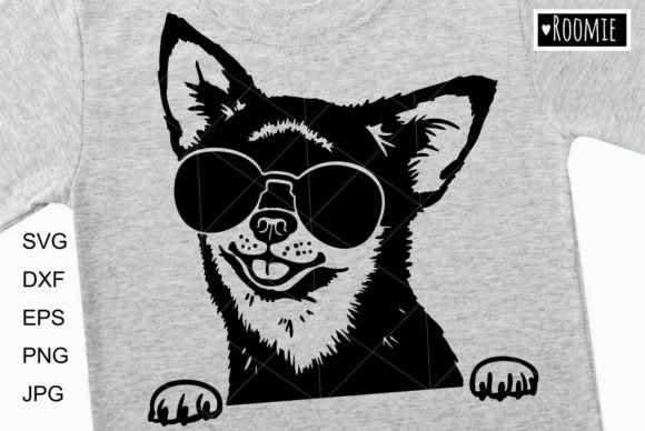 Cool Chihuahua Dog with Sunglasses