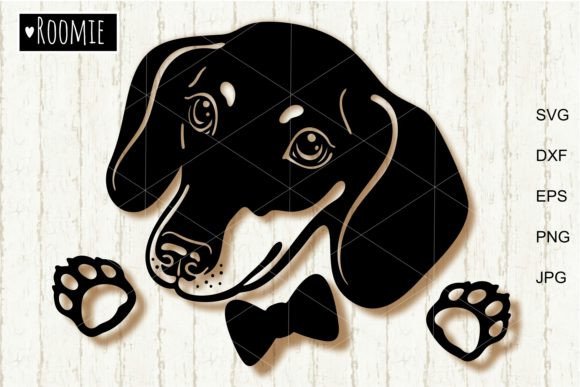 Dachshund Boy, Dog Portrait