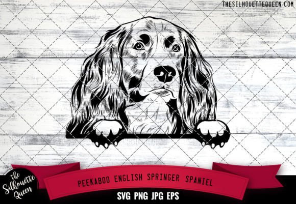 English Springer Spaniel Peekaboo Dog Fa