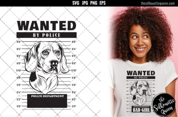 Mugshot of Australian Cattle Dog