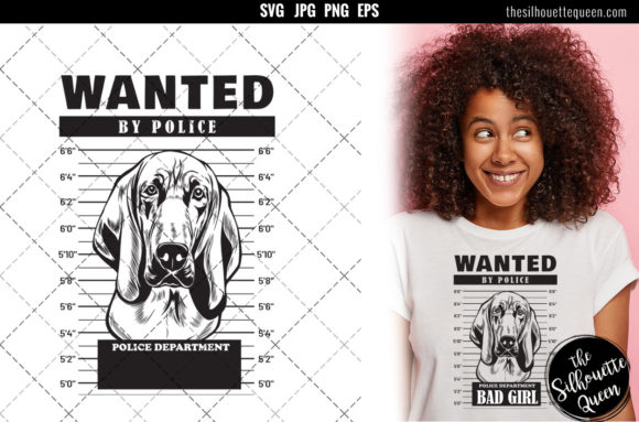 Mugshot of Blood Hound Dog
