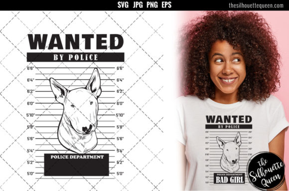 Mugshot of Bull Terrier Dog