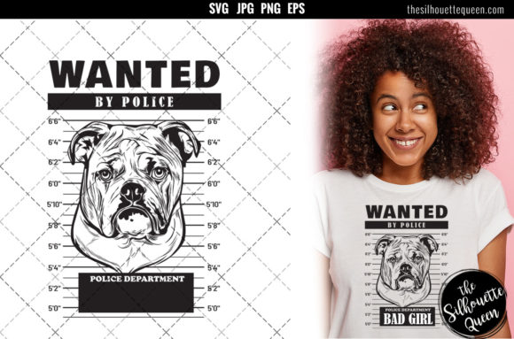 Mugshot of English Bulldog Dog