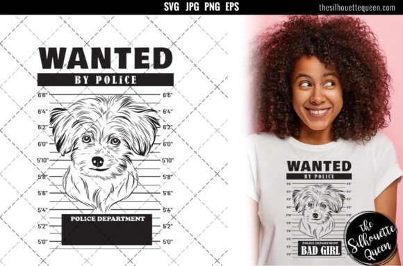Mugshot of Maltese Dog