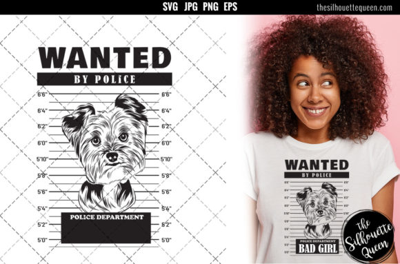 Mugshot of Yorkshire Terrier Dog
