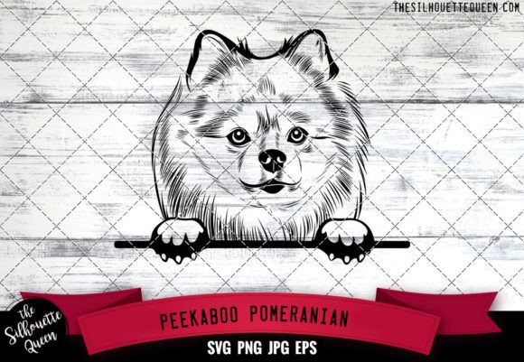 Pomeranian Peekaboo Dog Face