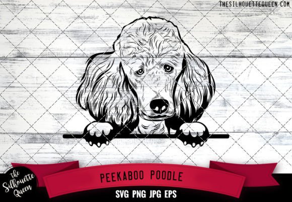 Poodle Peekaboo Dog Face