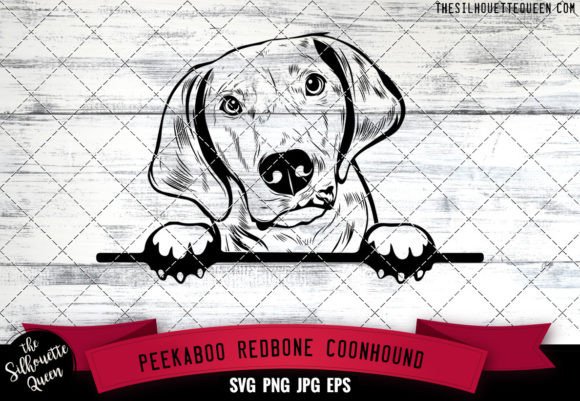 Redbone Coonhound Peekaboo Dog Face